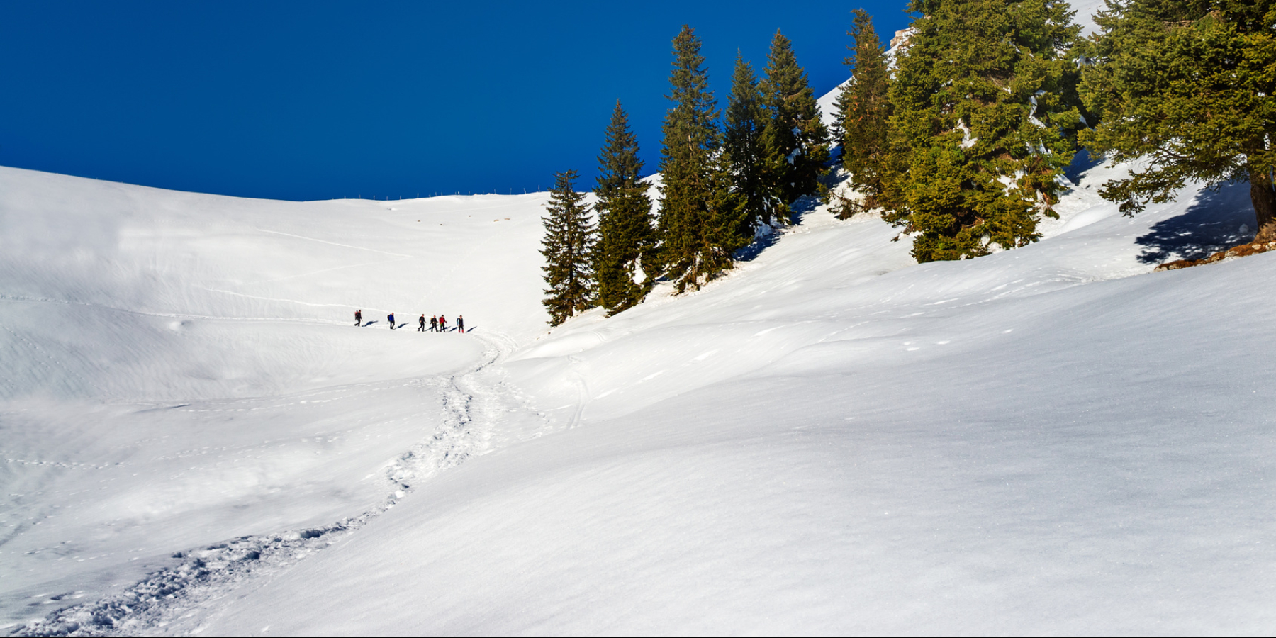 Ciaspolata al Monte Padrio con Speck Menatti