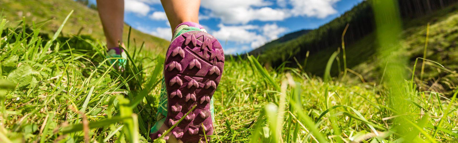 L’escursione in Valtellina in direzione Passo Verrobbio offre scorci paesaggistici di rara bellezza