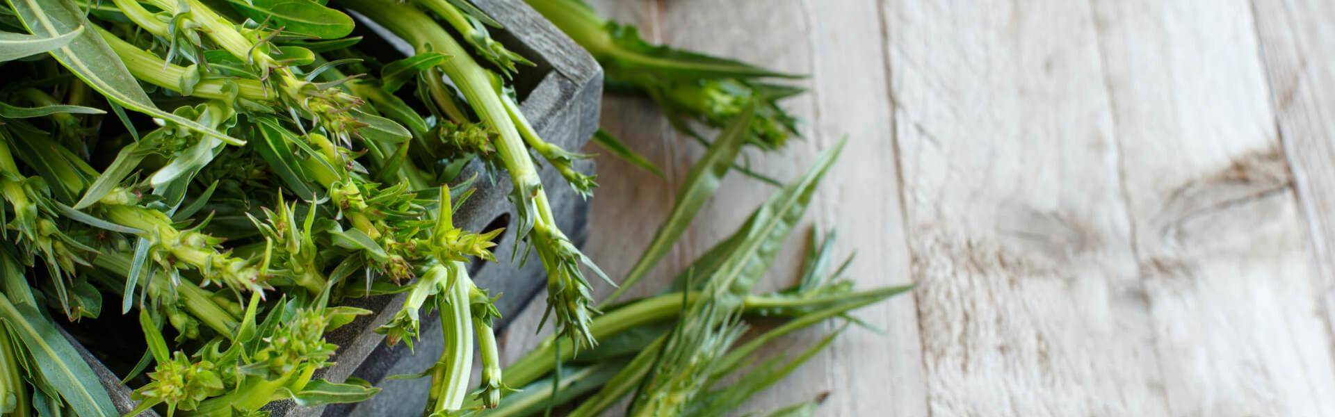 Insalata di puntarelle per un pranzo fresco e leggero