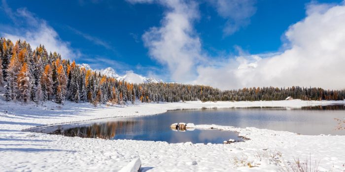 Con le ciaspole al lago Palù con Crudo di Parma DOP: Immagine Header