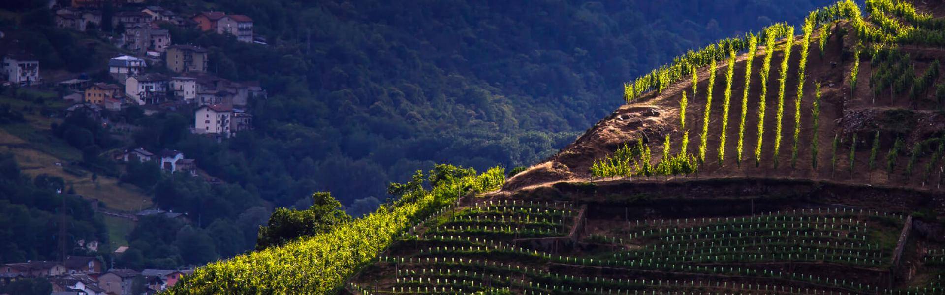 Sul sentiero del Sole con Bresaola della Valtellina IGP Menatti