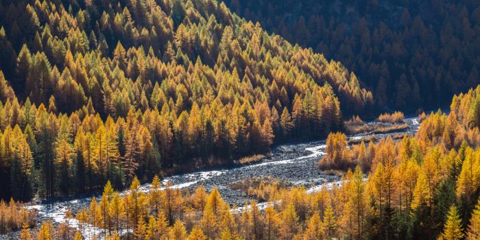 Giro dei tre ponti in Valmalenco con Speck Menatti