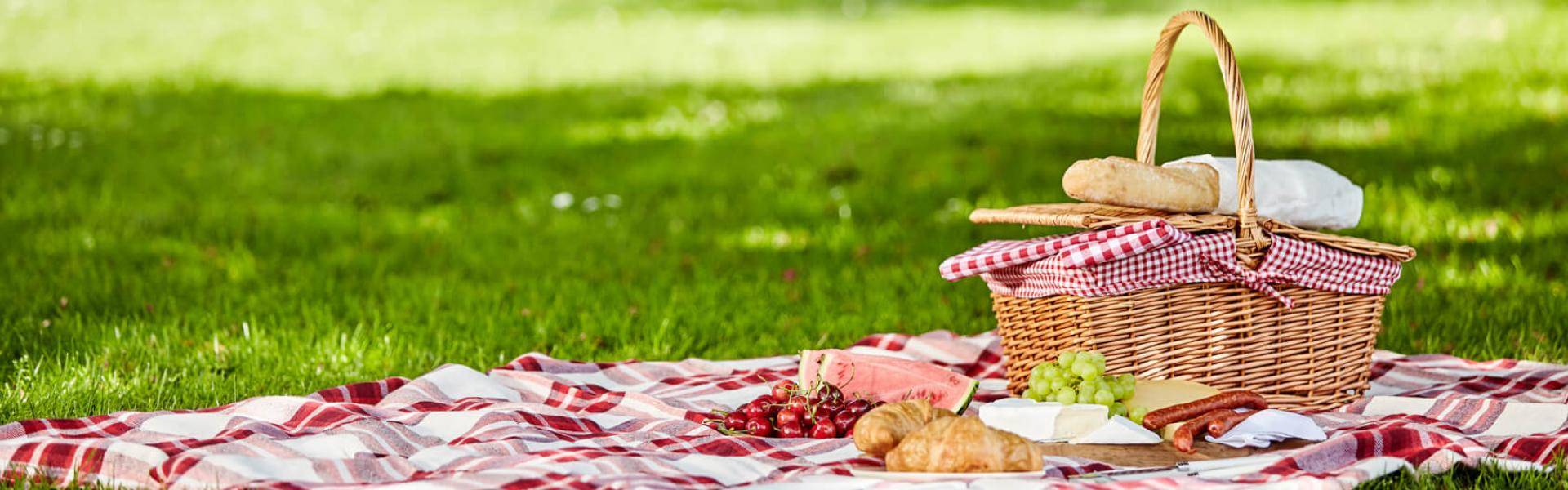 Il 18 giugno è la giornata internazionale del picnic