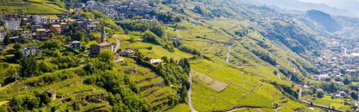 Il Sentiero dei Rat si sviluppa tra vigneti e panorami naturali meravigliosi