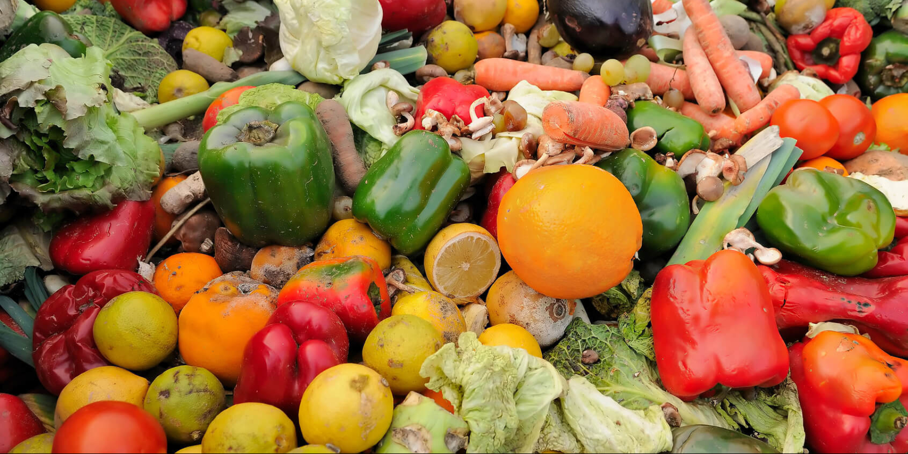 Spreco alimentare: un fenomeno da contrastare