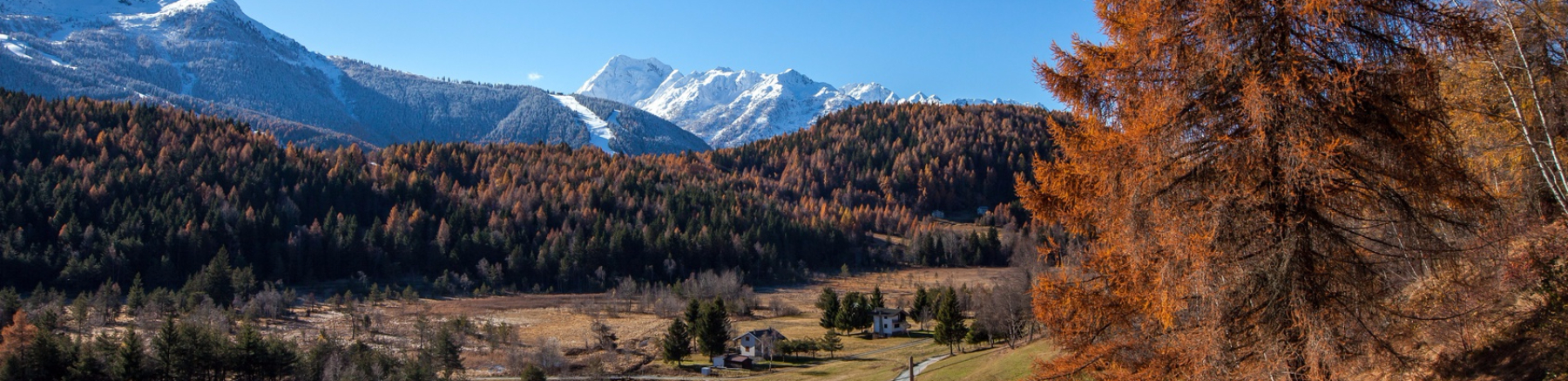 Da Tirano a Trivigno: itinerario a piedi in Valtellina