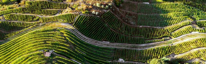 Il tour gastronomico in Valtellina