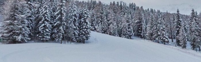 Ciaspolare in mezzo alla neve della Valtellina rappresenta il modo migliore per godersi l’alta montagna nella stagione invernale