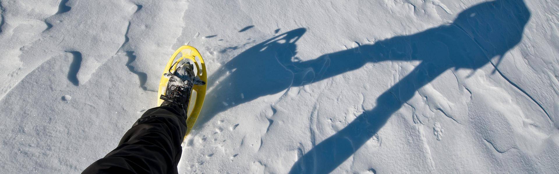 Ciaspolare sulla neve è un ottimo modo per stare a contatto con la natura durante i mesi invernali