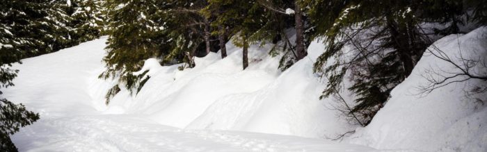 Sull’anello del Lago Palù per una bella e facile passeggiata sulla neve circondati da un bel paesaggio invernale