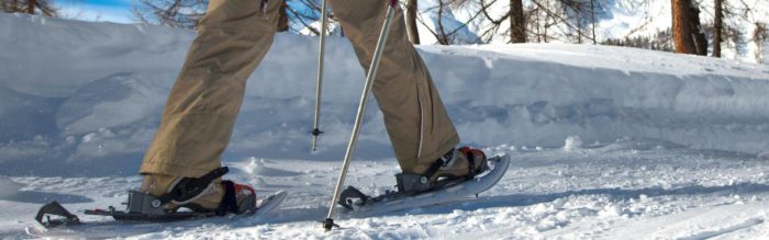 L'alpe Lendine offre paesaggi meravigliosi per una bella passeggiata con ciaspole e racchette da neve