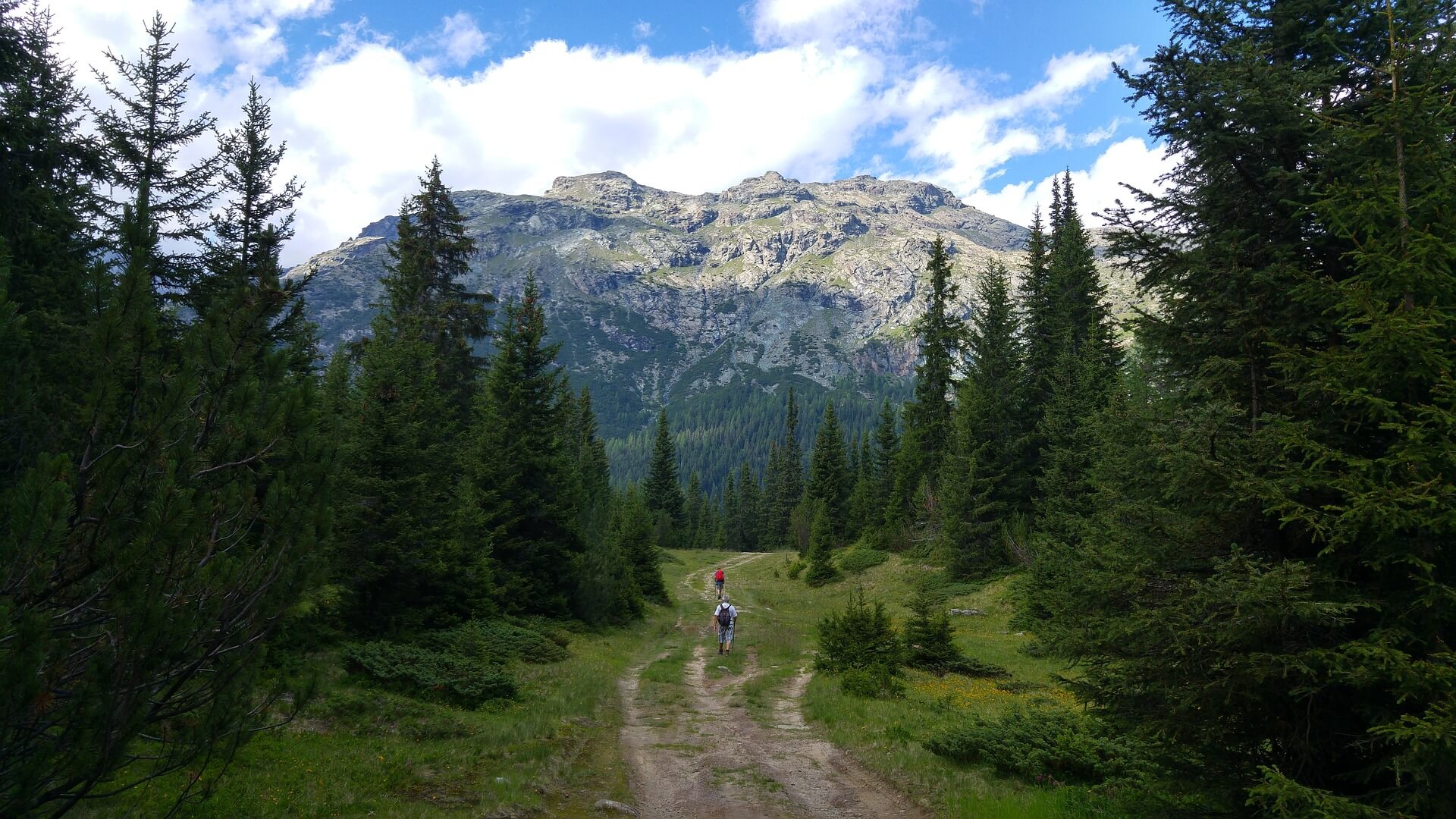 Gita in Valmalenco fino all'Alpe dell'Oro