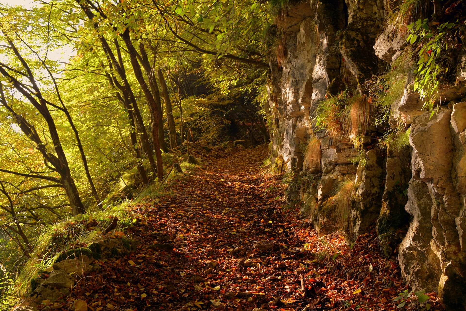 Escursione autunnale in Valtellina, in provincia di Sondrio