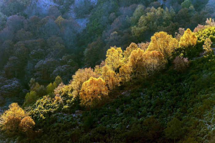 Passeggiata autunnale in Valtellina intorno a Teglio