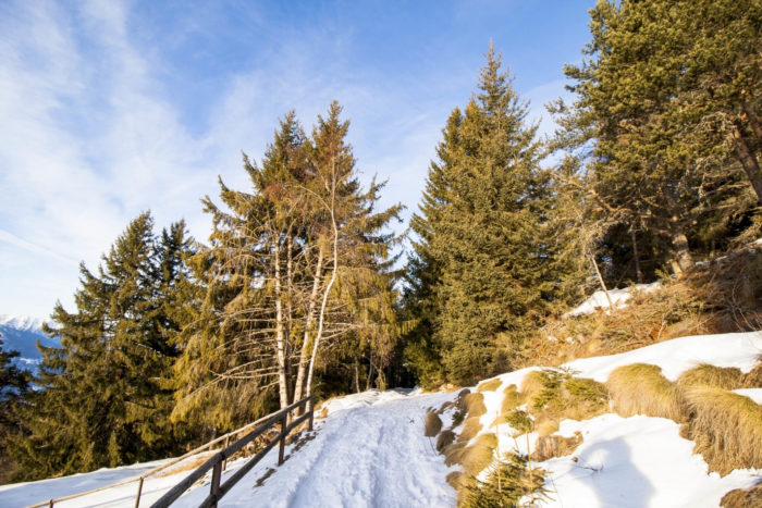 ciaspolata in Valtellina a Prato Valentino sopra Teglio