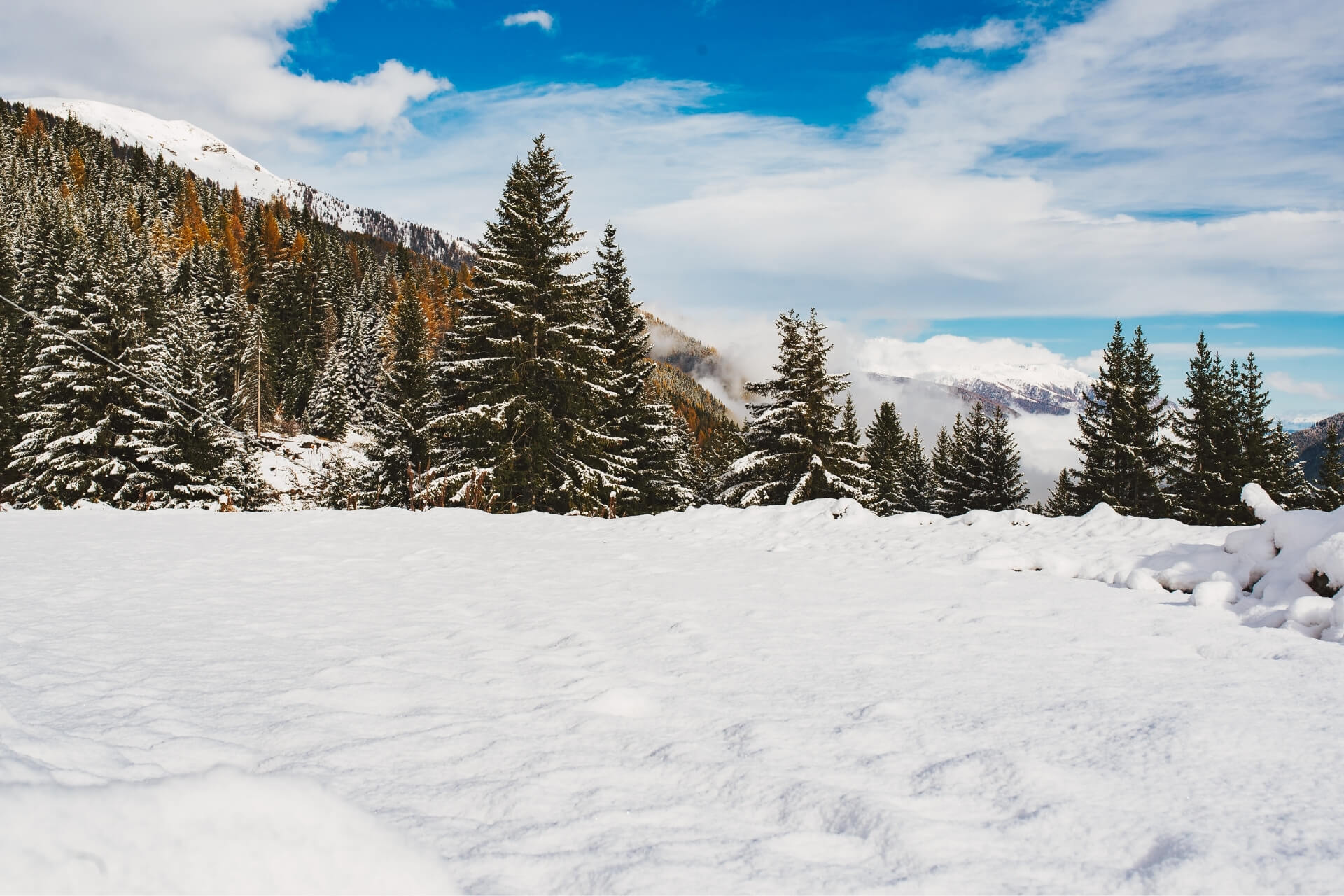 Giro con le ciaspole a Trivigno in Valtellina