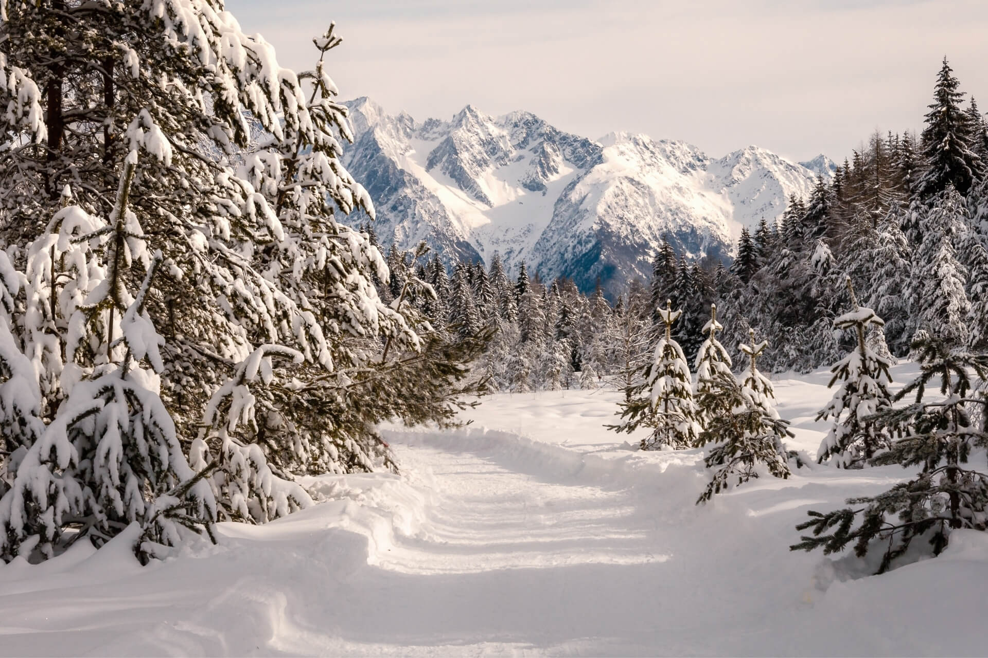 Ciaspolata in Aprica in Valtellina