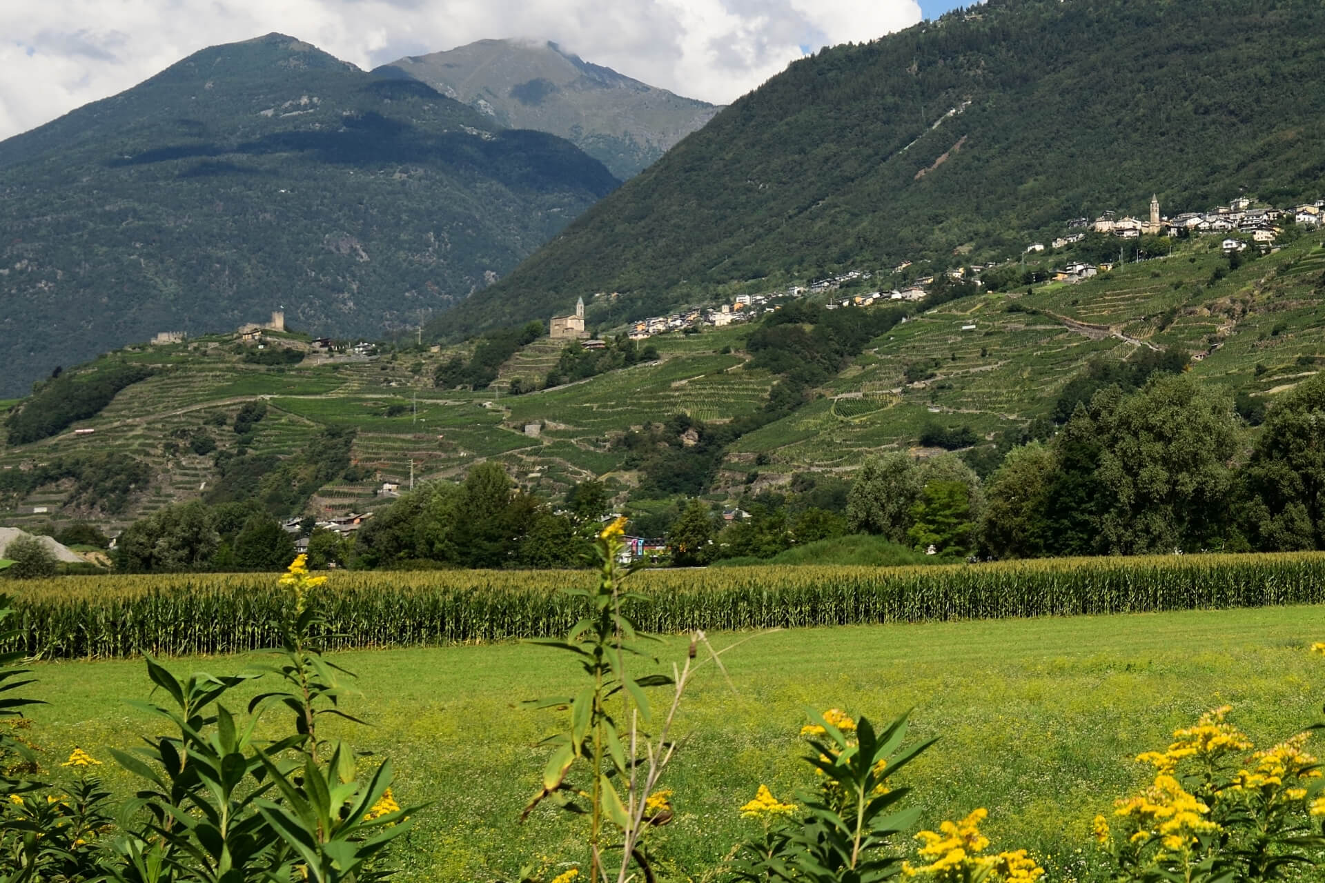 Escursione in Valtellina vicino a Sondrio