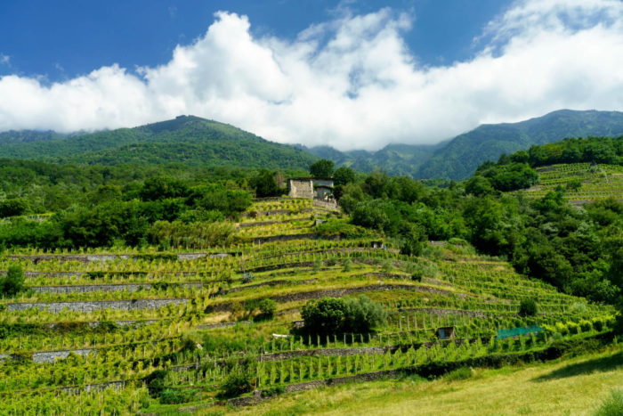 Escursione a Traona al castello di Domofole, in Valtellina