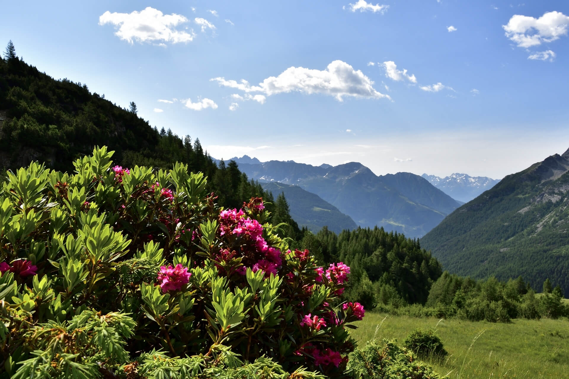 percorso per il rifugio Longoni da Chiareggio in Valmalenco - escursioni in Valtellina