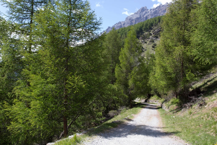 trekking in Valtellina: escursione in val verva