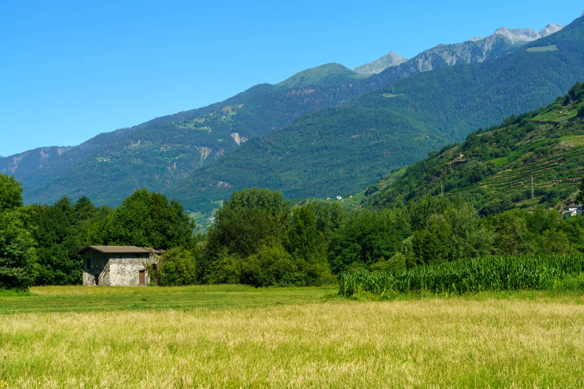 escursione in Valtellina all'Alpe Rhon