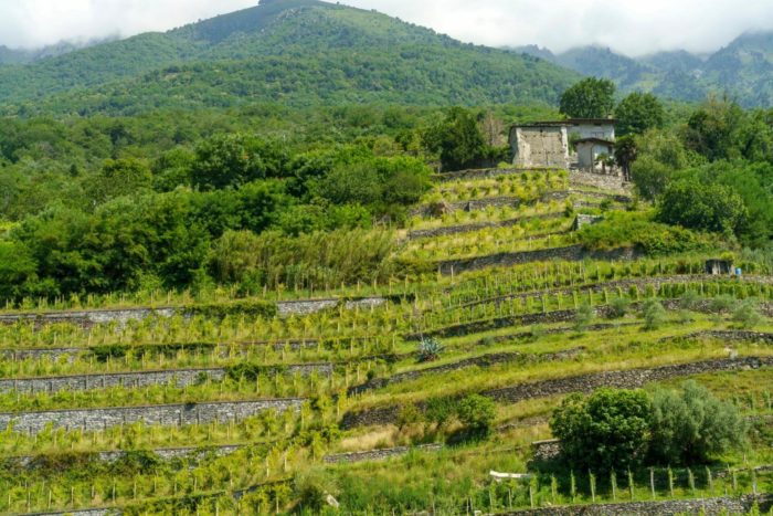 escursione in bassa valtellina