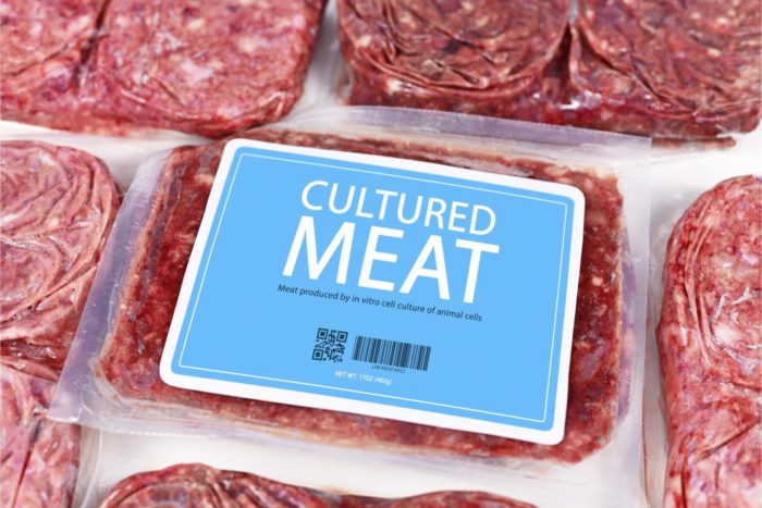 carne artificiale prodotta in laboratorio