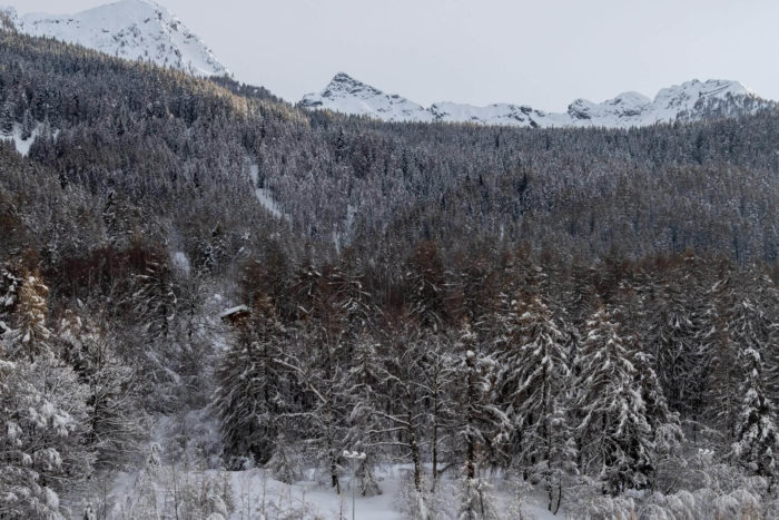 ciaspolata in Pian Gembro vicino a Aprica