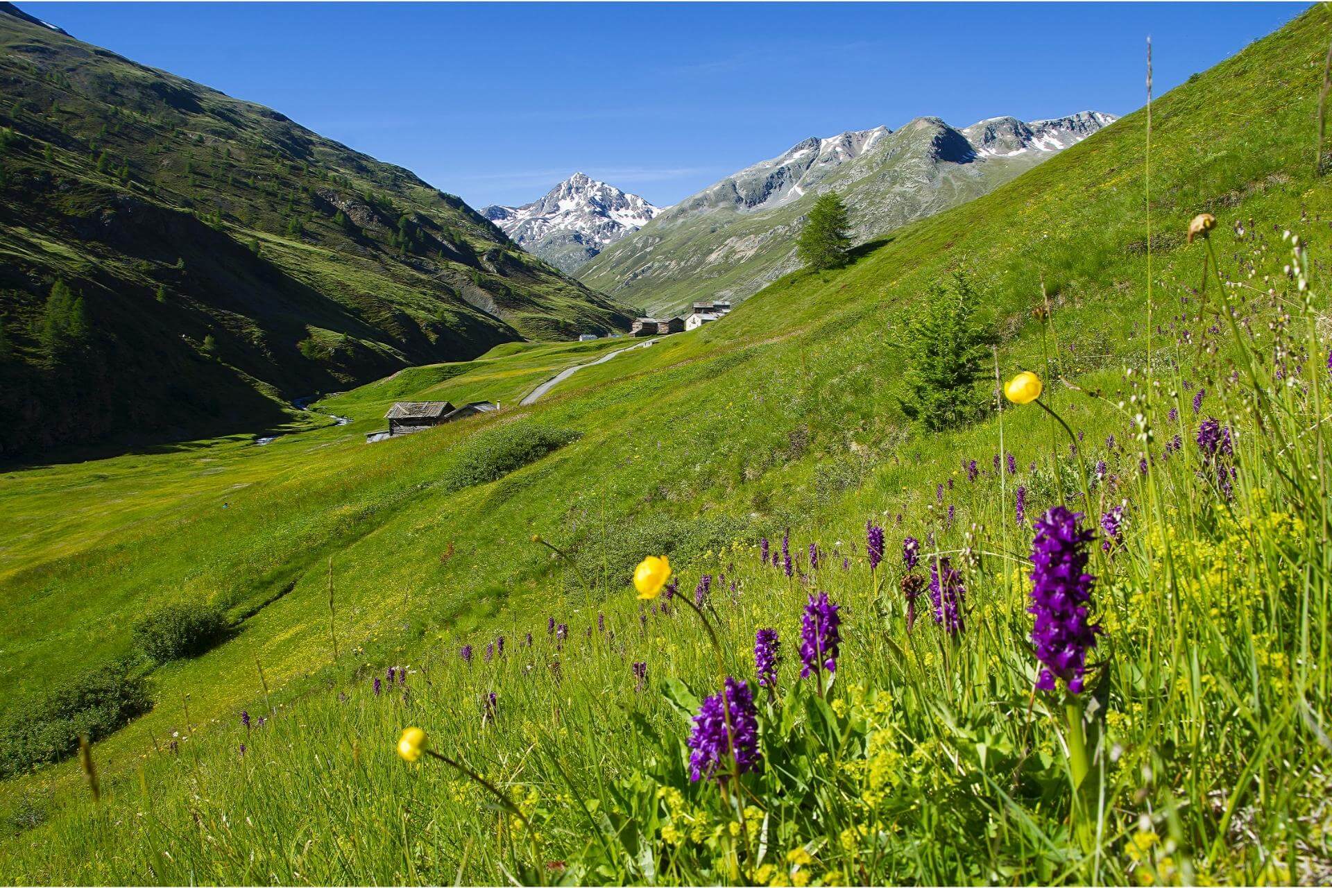 escursione vicino a Livigno