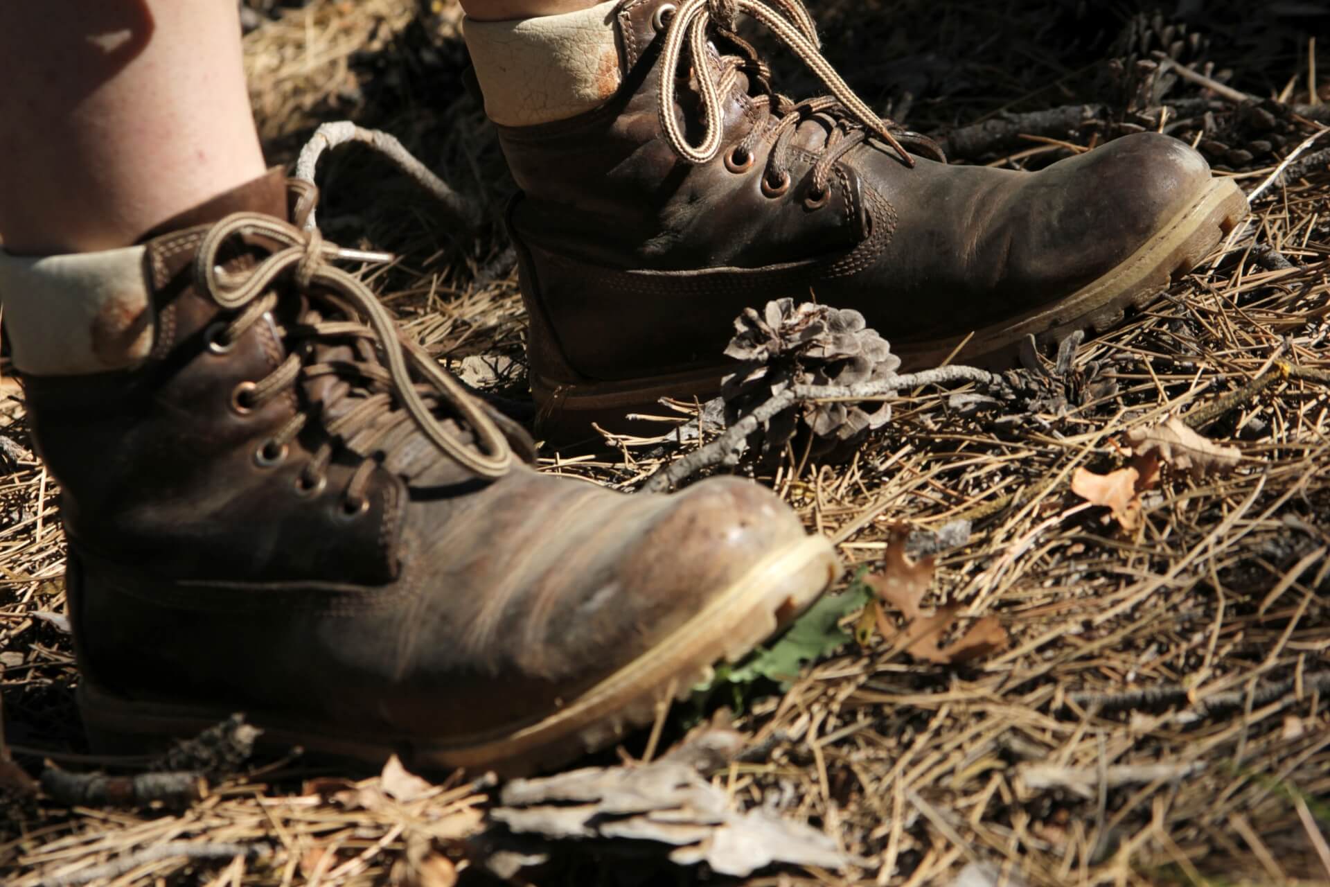 escursione in montagna vicino a Postalesio