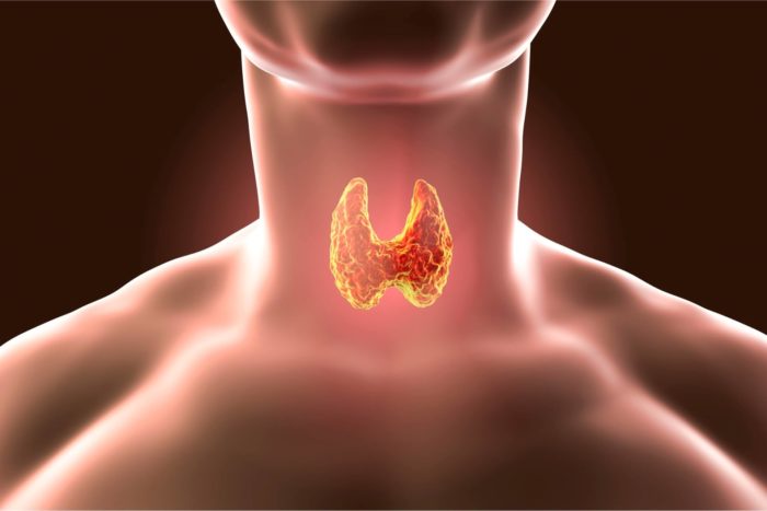 dieta per la tiroide: alimentazione per ipotiroidismo