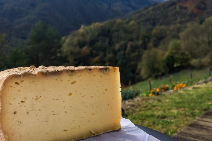 formaggi valtellinesi da abbinare con la bresaola