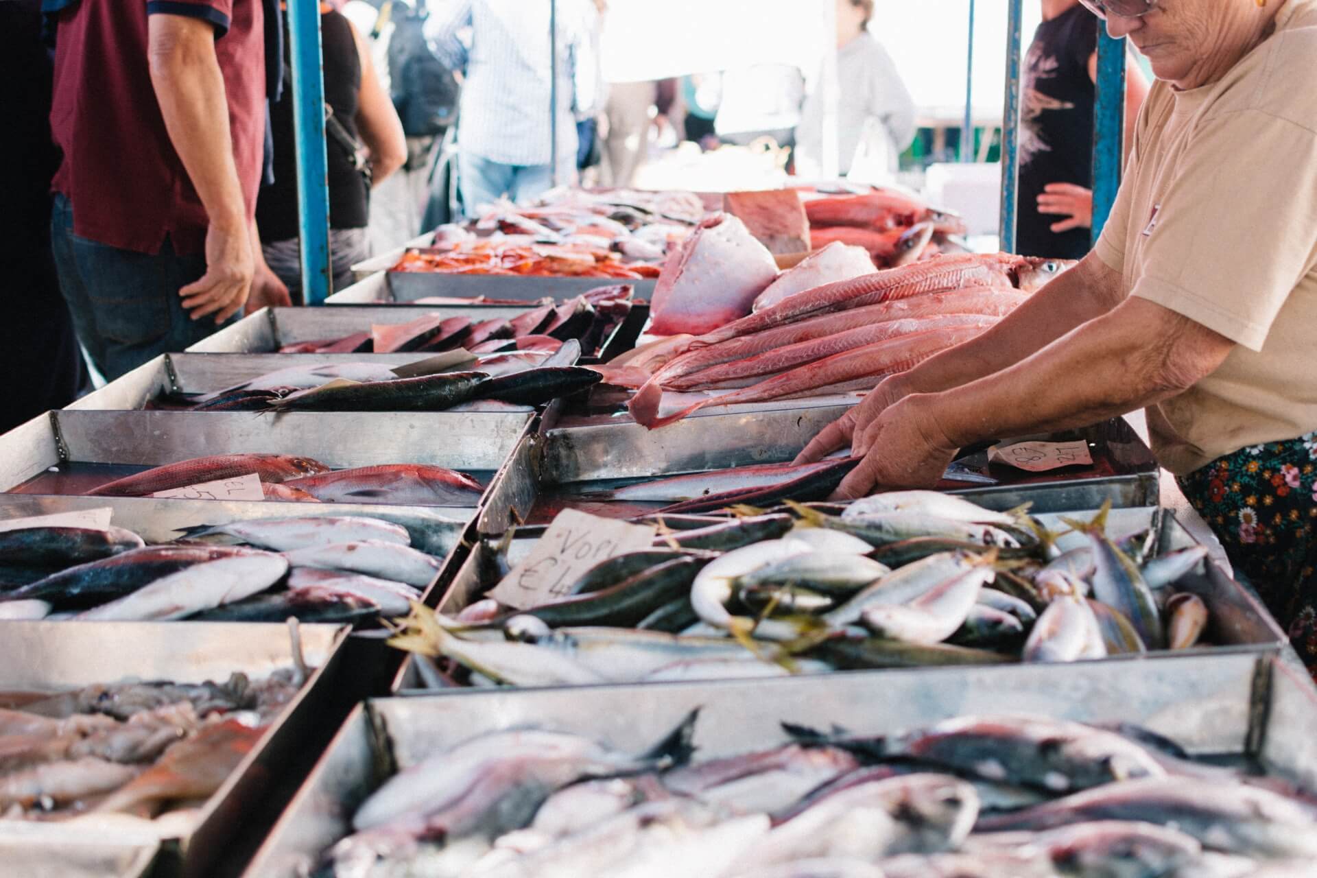 vendita di pesce di qualità che fa bene alla salute